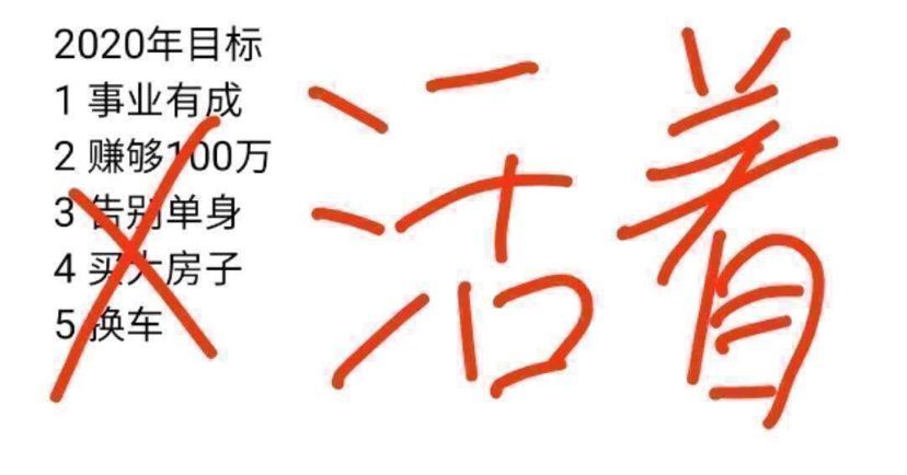 20200202就這樣過去了（——新冠病毒疫情爆發）