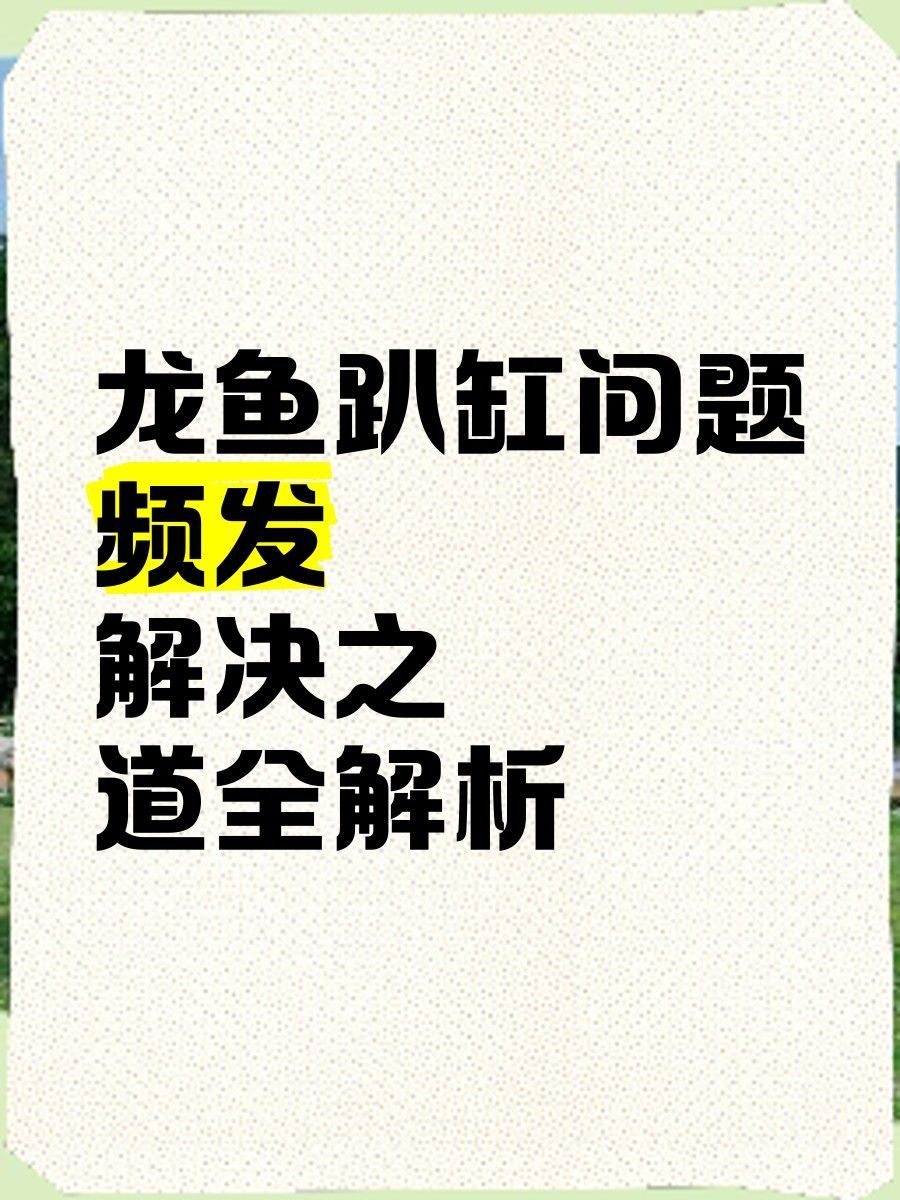 龍魚趴缸需要多久才能恢復（龍魚定時趴缸怎么回事） 龍魚趴缸需要多久才能恢復（龍魚定時趴缸怎么回事） 龍魚百科 第9張