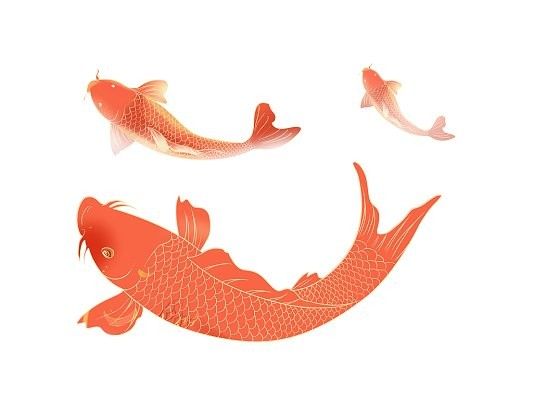卡通金魚節日圖片有哪些（卡通金魚節日圖片）