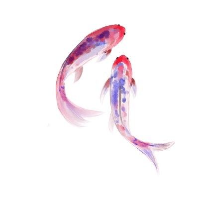 卡通金魚節日圖片有哪些（卡通金魚節日圖片）