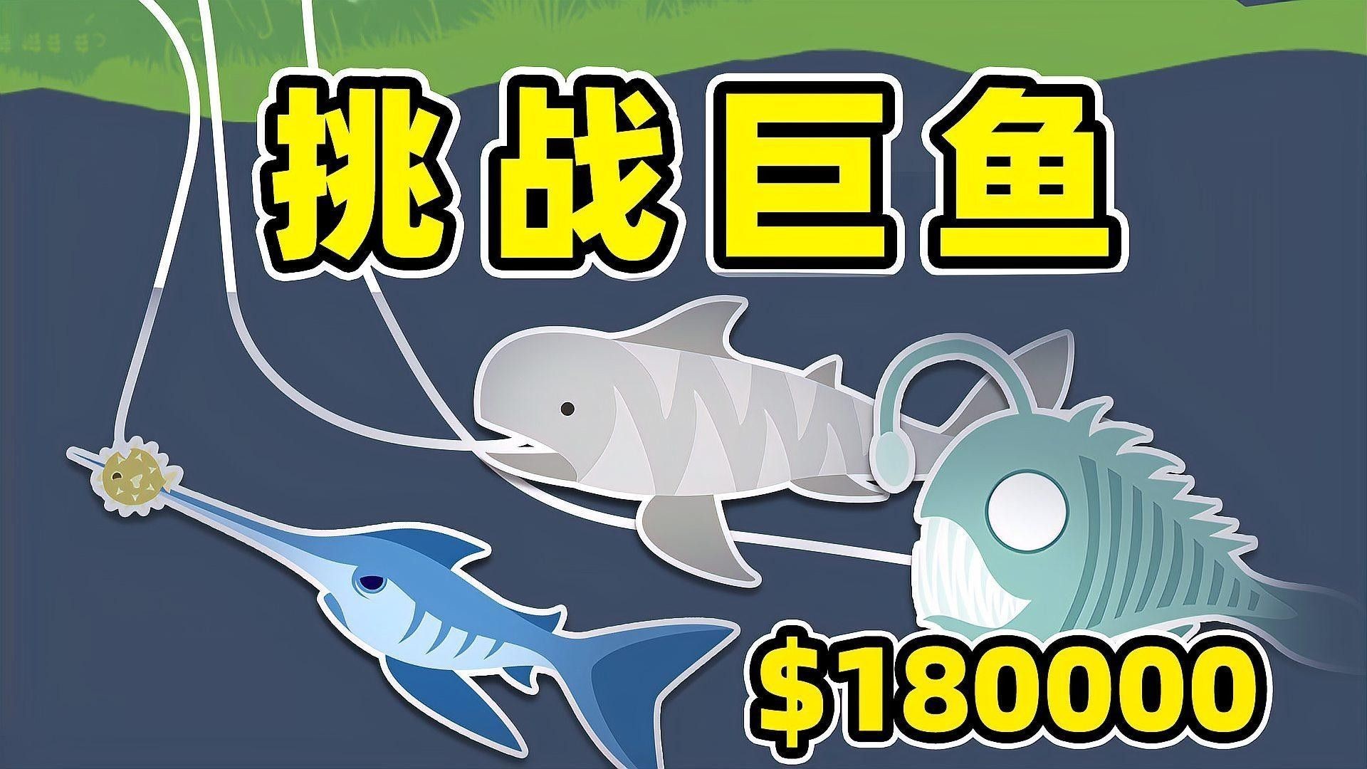 虎鯊和龍魚混養有哪些技巧？（虎鯊與龍魚混養的技巧）