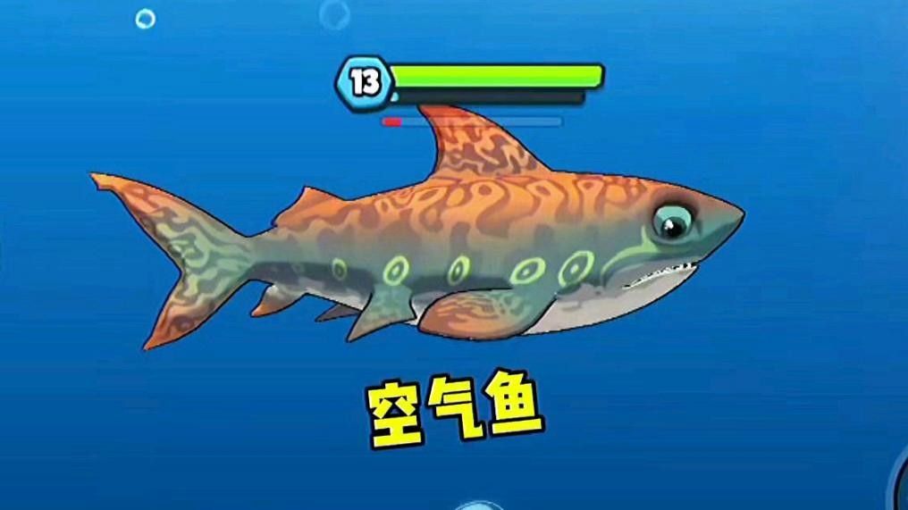 虎鯊和龍魚混養有哪些技巧？（虎鯊與龍魚混養的技巧）