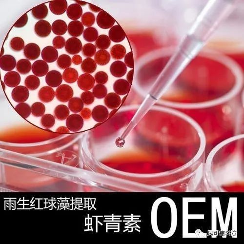 紅龍魚飼料中蝦紅素的作用（紅龍魚怎么養(yǎng)容易發(fā)色這幾個小技巧你要知道）
