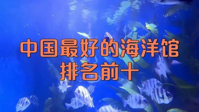 推薦幾家專業(yè)水族館（北京海洋生物專業(yè)水族館推薦，北京海洋館名單游子吟）
