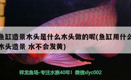 魚缸造景木頭是什么木頭做的呢(魚缸用什么木頭造景水不會發黃)（生態魚缸的造景材料）