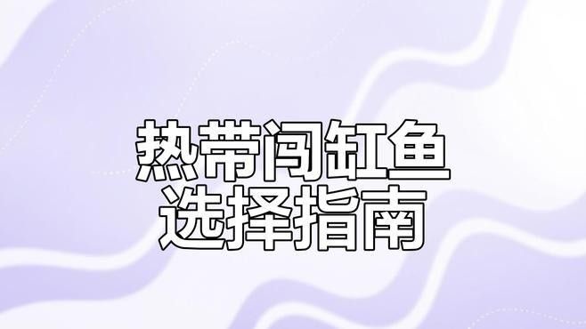 地圖魚和鸚鵡魚混養需要多大的魚缸？（地圖魚和鸚鵡魚可以混養嗎） 地圖魚和鸚鵡魚混養需要多大的魚缸？（地圖魚和鸚鵡魚可以混養嗎） 龍魚百科 第2張
