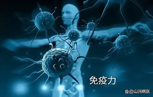 素食補充對金龍魚有哪些好處？（素食補充對金龍魚的具體益處） 素食補充對金龍魚有哪些好處？（素食補充對金龍魚的具體益處） 龍魚百科 第2張