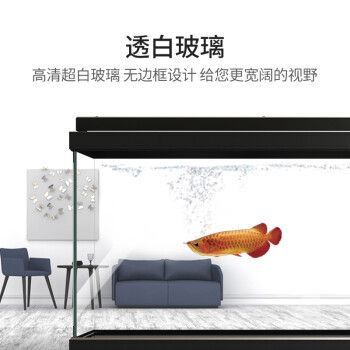 彩蝶cgb和mpg：彩蝶mpg系列超白玻璃龍魚缸