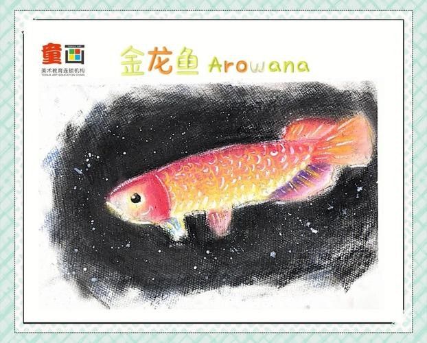 給我一張金龍魚發色階段詳解圖(金龍魚發色階段詳解圖) 龍魚百科 第19張 給我一張金龍魚發色階段詳解圖(金龍魚發色階段詳解圖) 給我一張金龍魚發色階段詳解圖(金龍魚發色階段詳解圖) 龍魚百科 第19張