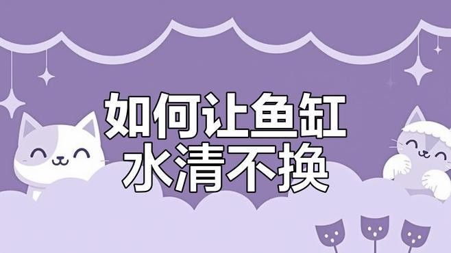 混養缸中如何保持水質穩定？（混養缸中水質穩定的秘訣）