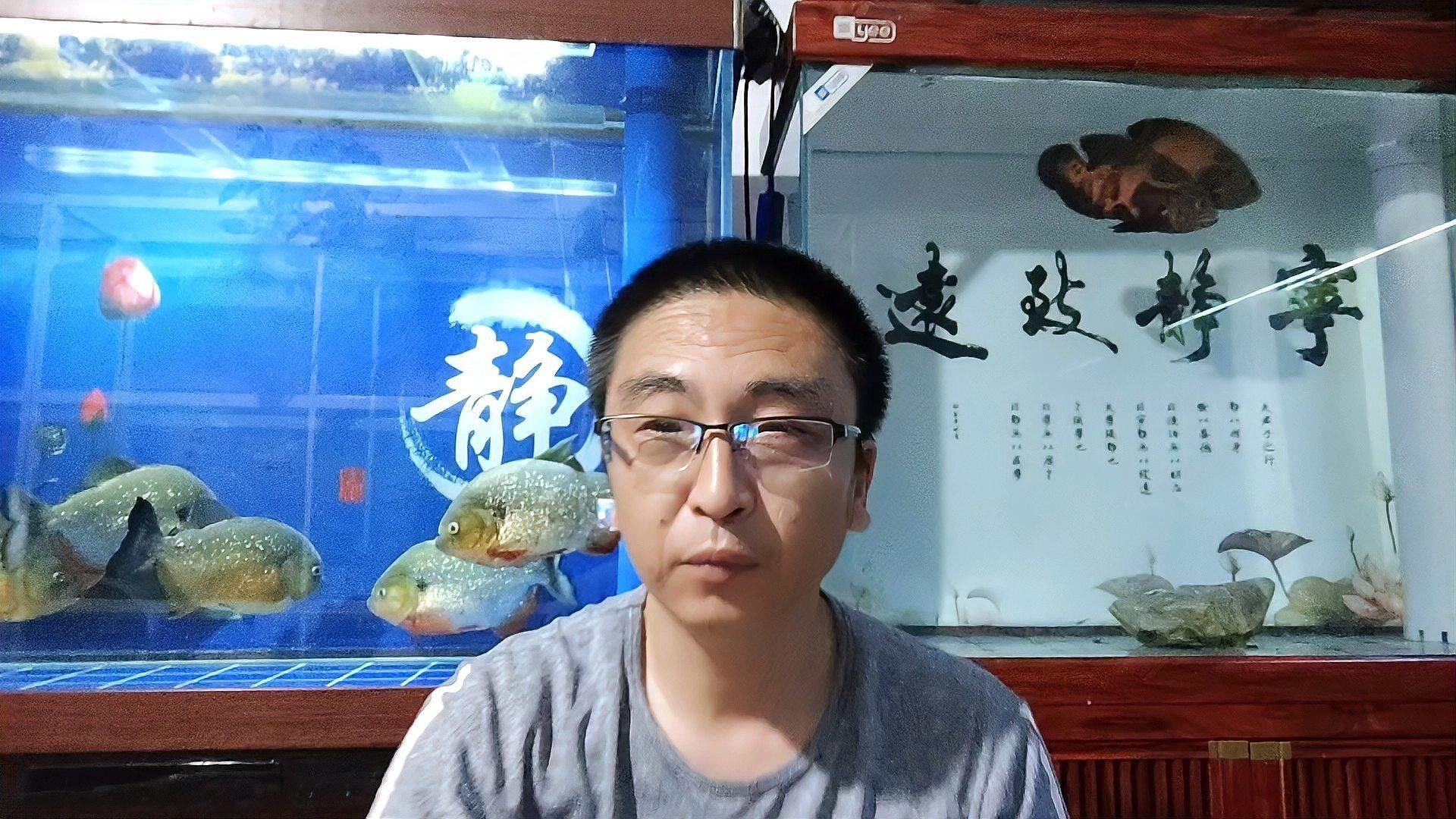 混養缸中如何保持水質穩定？（混養缸中水質穩定的秘訣）