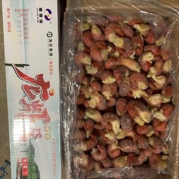 金龍魚產品在蘭州新區的批發價格是多少（金龍魚產品在蘭州新區的批發價格）