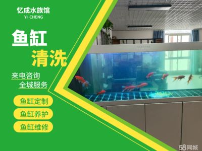肥料有哪些（肥料有哪些種類）（有機肥料的種類有哪些） 肥料有哪些（肥料有哪些種類）（有機肥料的種類有哪些） 觀賞魚百科