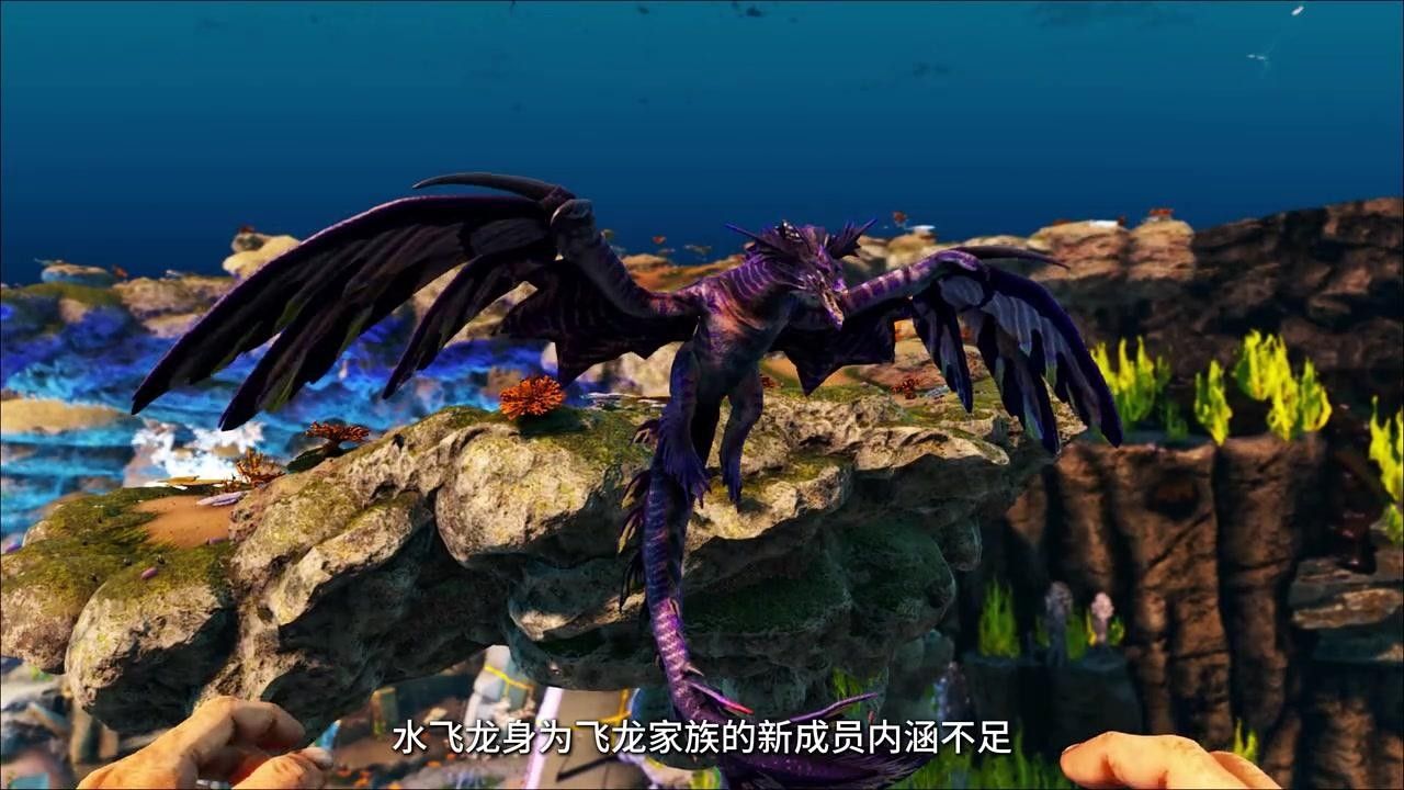 海底飛龍魚有哪些品種？（海底飛龍魚可以劃分為多個品種最常見的品種及其特征）