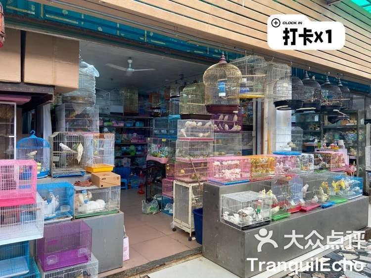 深圳龍魚(yú)市場(chǎng)在哪里？（深圳哪個(gè)龍魚(yú)市場(chǎng)最大？）