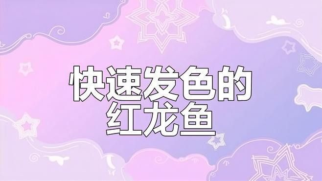 哪個龍魚品種發色最容易（紅龍魚發色快的兩種類型） 哪個龍魚品種發色最容易（紅龍魚發色快的兩種類型） 龍魚百科 第1張