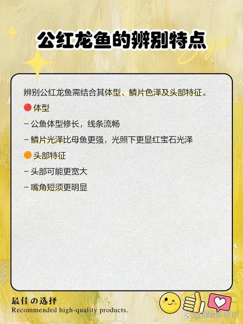 紅龍魚等級區分圖高清版（紅龍魚的等級區分圖高清版） 紅龍魚等級區分圖高清版（紅龍魚的等級區分圖高清版） 龍魚百科 第3張