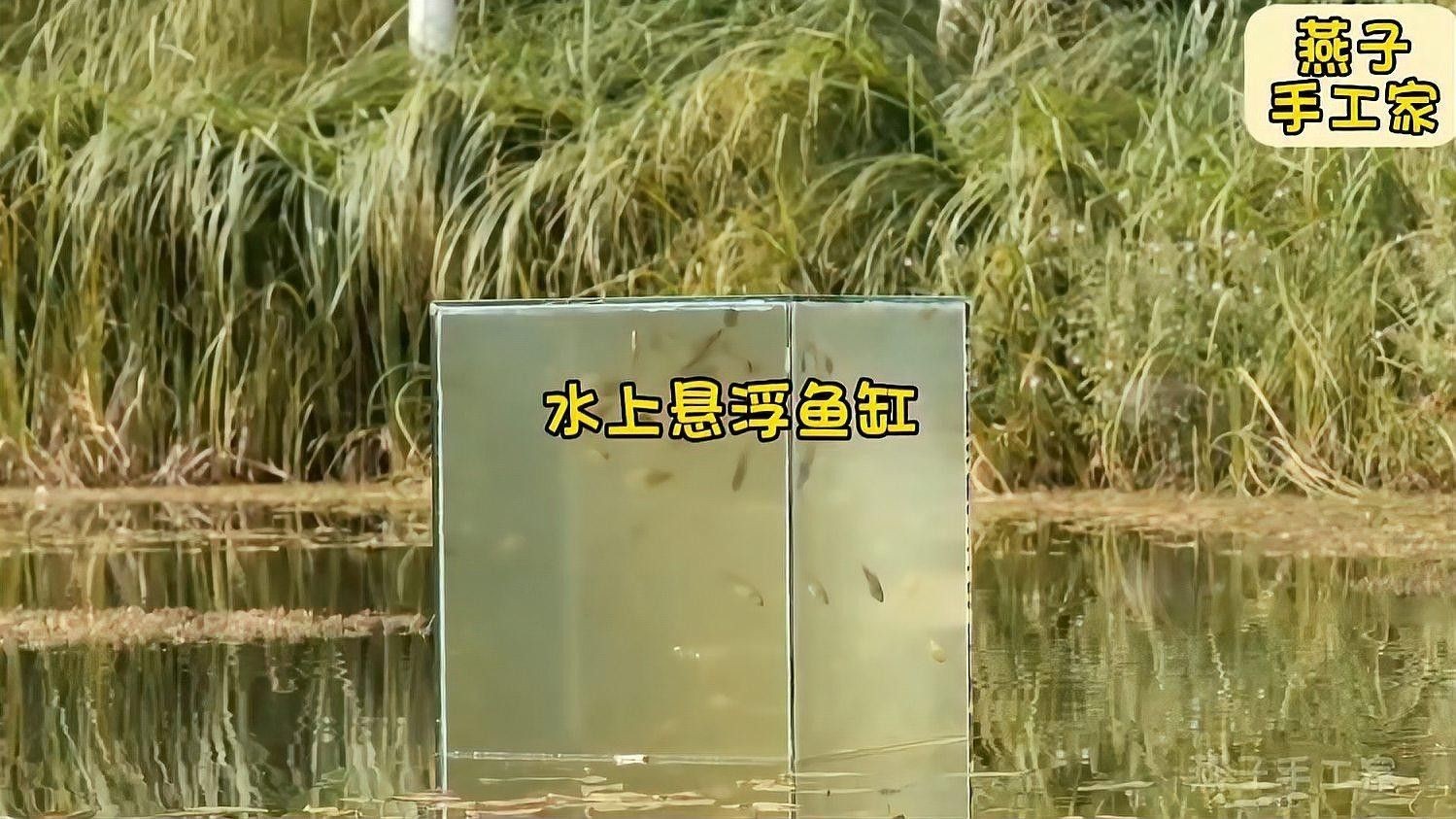 如何確保魚缸蓋的穩固性？（如何確保魚缸蓋的穩固性）