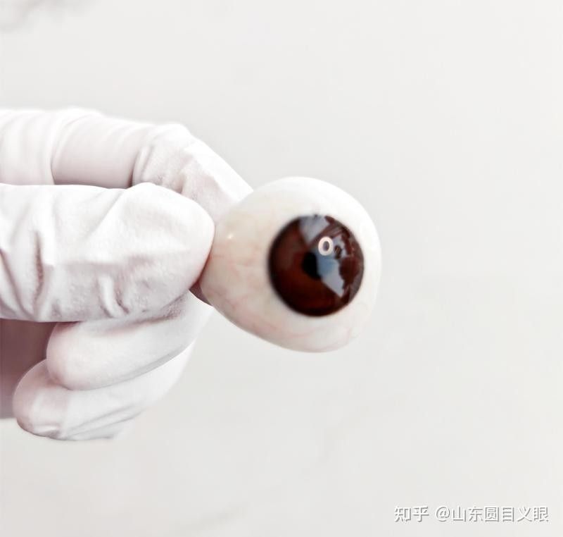 如何選擇合適的義眼 如何選擇合適的義眼 龍魚百科 第5張