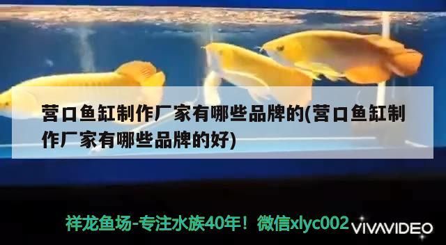 魚缸過濾器選購指南:自制魚缸過濾器魚缸上置過濾器對于養魚愛好者的必備知識 營口魚缸制作廠家有哪些品牌的(營口魚缸制作廠家有哪些品牌的好) 觀賞魚百科 營口魚缸制作廠家有哪些品牌的(營口魚缸制作廠家有哪些品牌的好) 營口魚缸制作廠家有哪些品牌的(營口魚缸制作廠家有哪些品牌的好) 觀賞魚百科