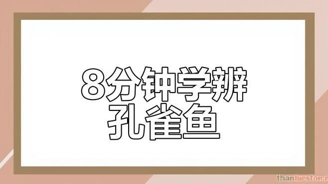 如何區分孔雀龍和孔雀魚（孔雀魚和龍有什么區別？）