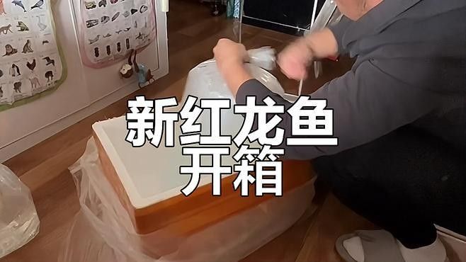 如何檢測紅龍魚的水質？ 如何檢測紅龍魚的水質？ 龍魚百科 第1張