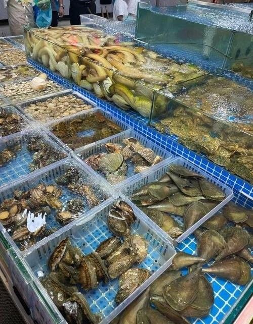 汕頭杜龍魚季節性價格變動大嗎