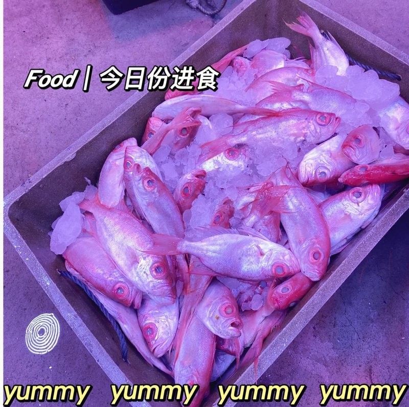 汕頭杜龍魚季節性價格變動大嗎