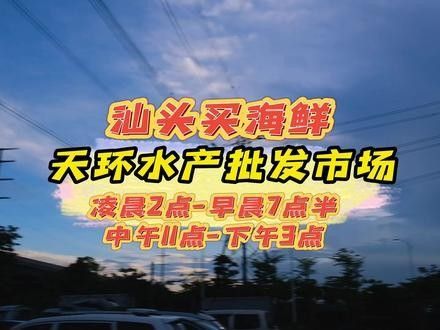 汕頭杜龍魚季節性價格變動大嗎