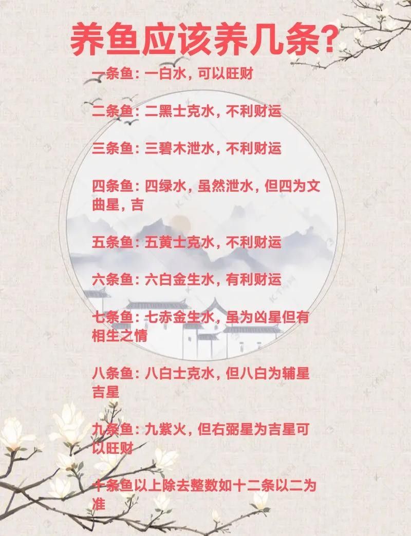 屬虎的人適合養幾條金龍魚（屬虎養幾條魚最好） 屬虎的人適合養幾條金龍魚（屬虎養幾條魚最好） 龍魚百科 第2張
