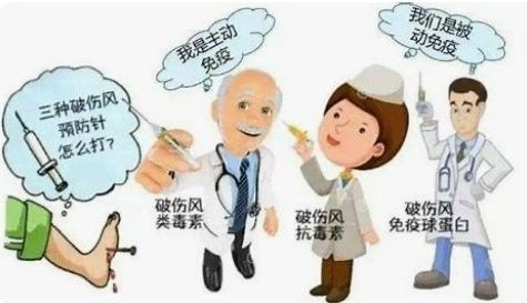 TAT和TIG的區(qū)別是什么？