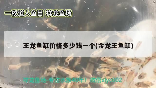 王龍魚缸價格多少錢一個(金龍王魚缸)
