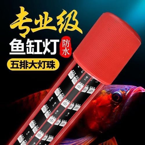 有哪些品牌的金龍魚缸燈（金龍魚缸燈什么品牌的質(zhì)量最好honeybrewled魚缸燈品牌排行榜）