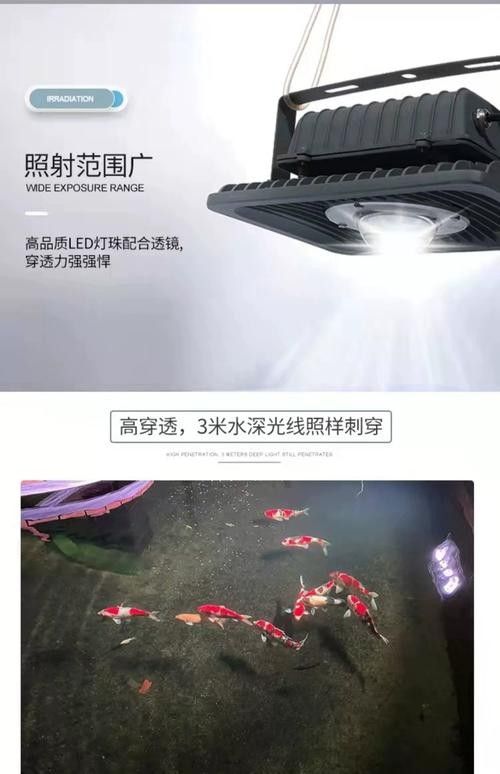 有哪些品牌的金龍魚缸燈（金龍魚缸燈什么品牌的質(zhì)量最好honeybrewled魚缸燈品牌排行榜）
