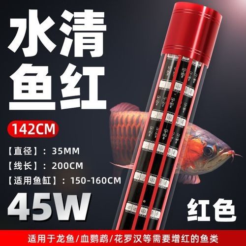 銀龍魚豎立是失鰾癥嗎？，銀龍魚豎立不一定是失鰾癥，但失鰾癥是其中最常見的原因之一