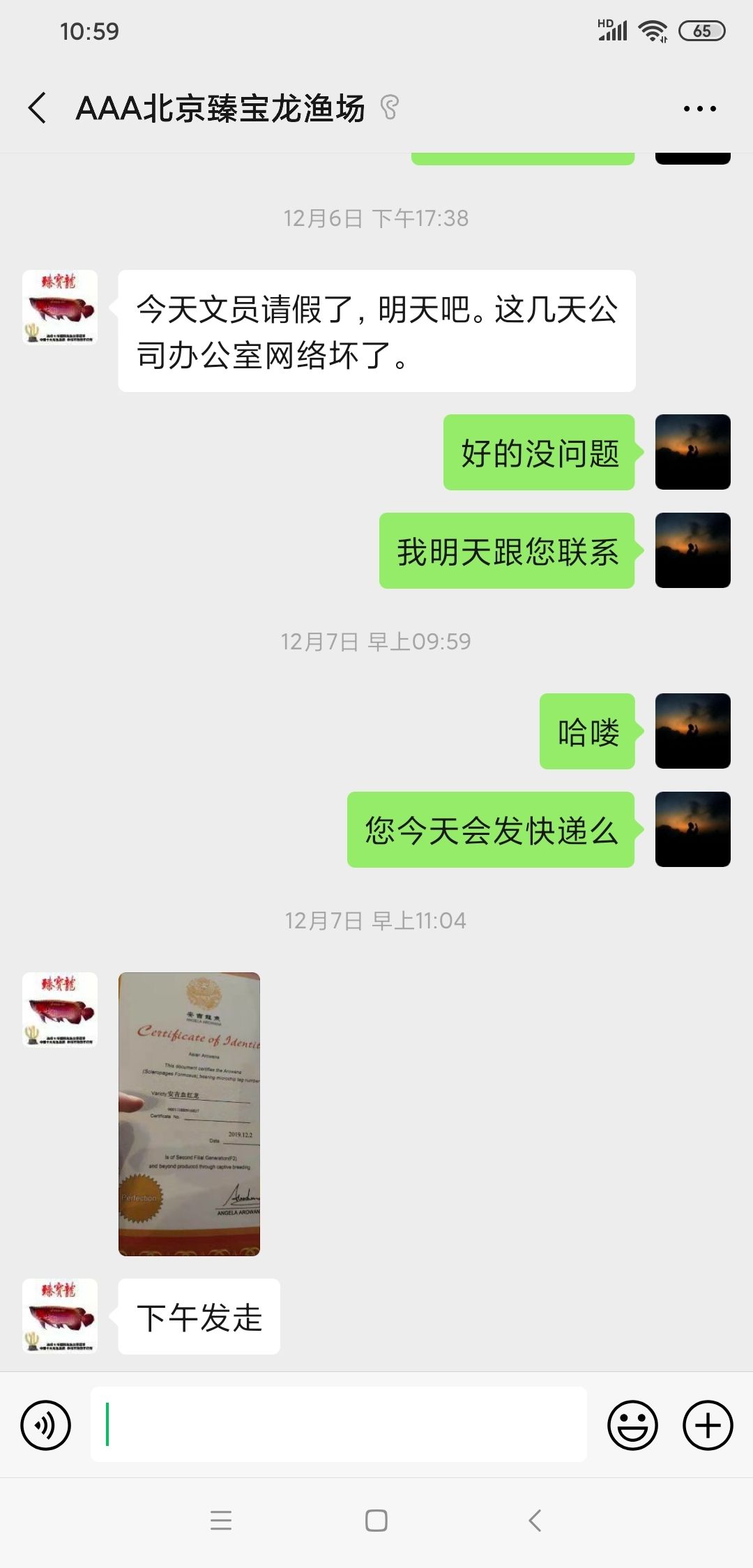 賀州觀賞魚市場新手必須看甄寶龍的后續章節正義永遠存在 賀州觀賞魚市場新手必須看甄寶龍的后續章節正義永遠存在 觀賞魚百科 第6張