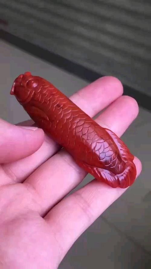 有哪些適合金龍魚的紅色裝飾物? 龍魚百科 第1張 有哪些適合金龍魚的紅色裝飾物? 有哪些適合金龍魚的紅色裝飾物? 龍魚百科 第1張