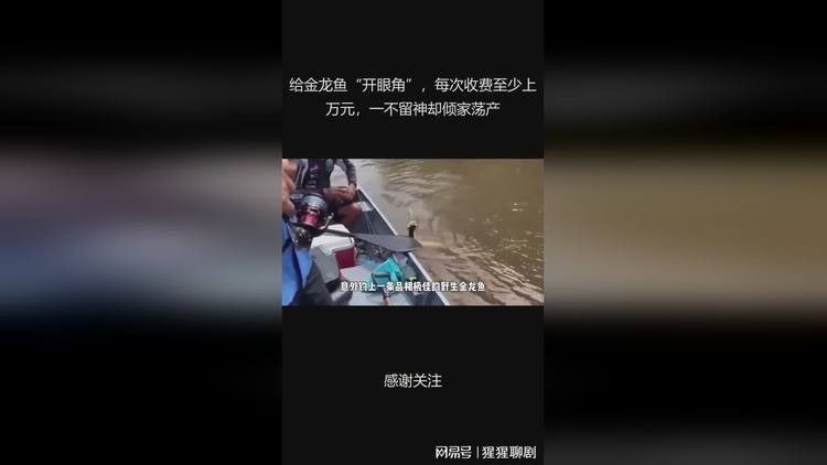 金龍魚掉眼手術的費用是多少 金龍魚掉眼手術的費用是多少 龍魚百科 第4張