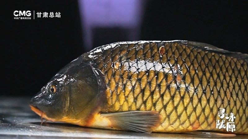 宏豐隴宴的黃河鯉魚新鮮嗎？