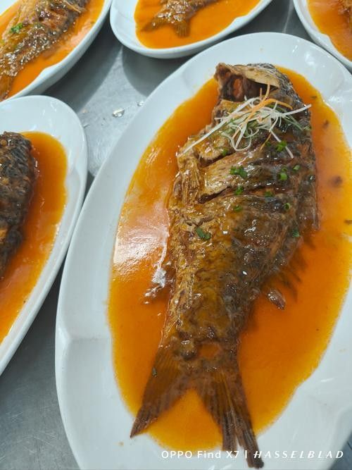 宏豐隴宴的黃河鯉魚新鮮嗎？
