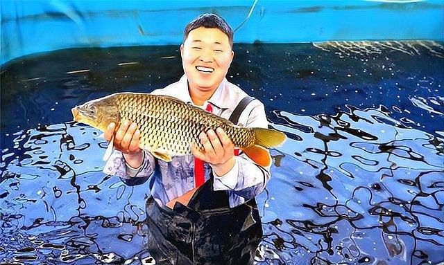 宏豐隴宴的黃河鯉魚新鮮嗎？