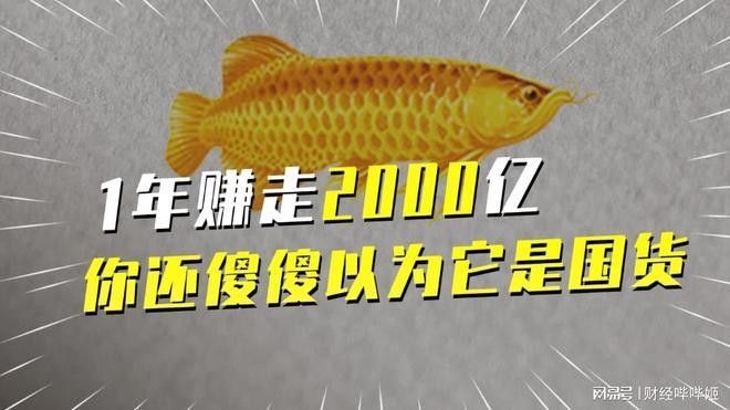 金龍魚和中糧的股權(quán)關(guān)系如何？