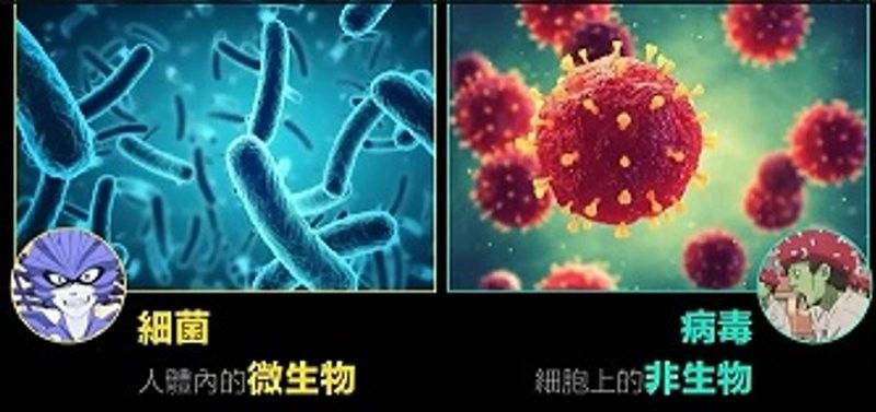 如何區分細菌感染和病毒感染
