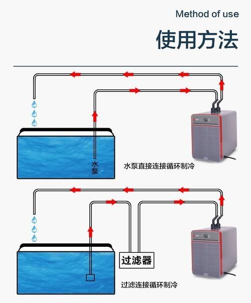 如何保持繁殖缸水溫穩定？（養魚老道孔雀魚繁殖季節注意事項，溫度水質全解析） 如何保持繁殖缸水溫穩定？（養魚老道孔雀魚繁殖季節注意事項，溫度水質全解析） 龍魚百科 第2張