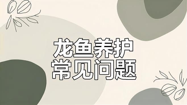 紅龍魚養殖難度大嗎？ 紅龍魚養殖難度大嗎？ 龍魚百科 第4張