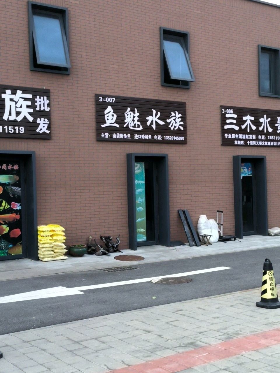 廉江哪個水族館龍魚好？祥龍魚場龍魚（廣州龍魚祥龍魚場） 廉江哪個水族館龍魚好？祥龍魚場龍魚（廣州龍魚祥龍魚場） 龍魚百科 第3張