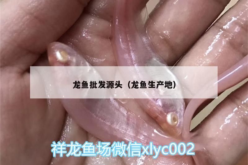 龍魚批發(fā)源頭（龍魚生產(chǎn)地） 龍魚批發(fā)源頭（龍魚生產(chǎn)地） 觀賞魚百科