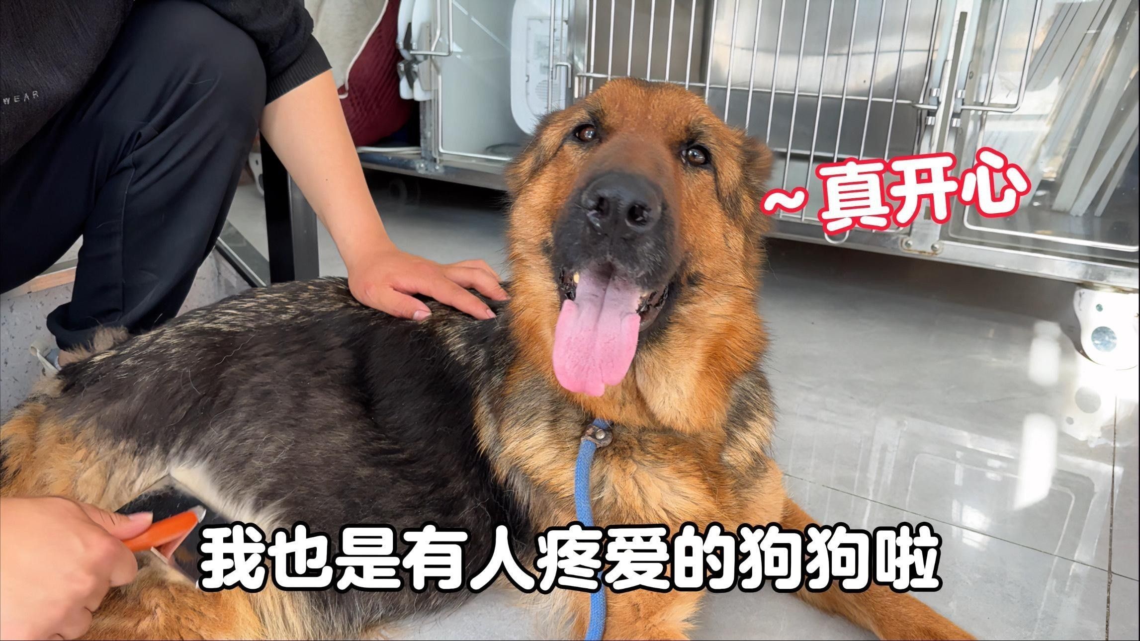 如何預防龍魚腹水病？（預防龍魚腹水病的方法）