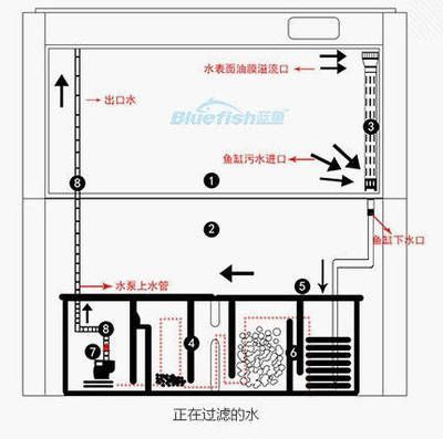 魚缸水管安裝視頻教程（魚缸上下水管安裝教程）