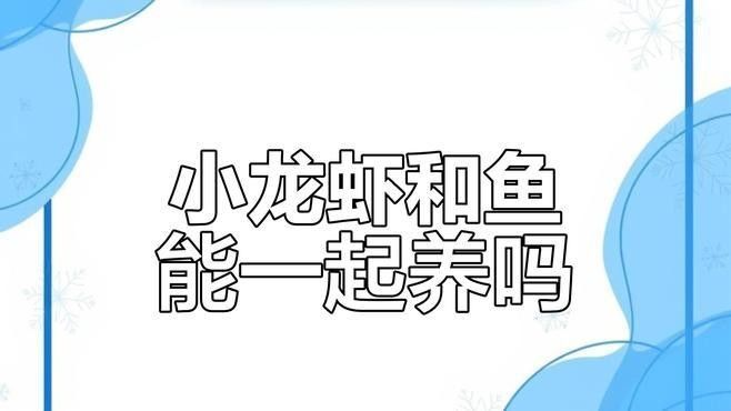 龍魚和龍蝦能否一起混養？